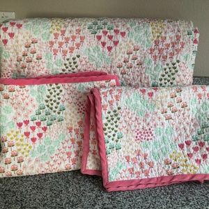 Pillowfort Fetching Florals F/Q Quilt & Shams